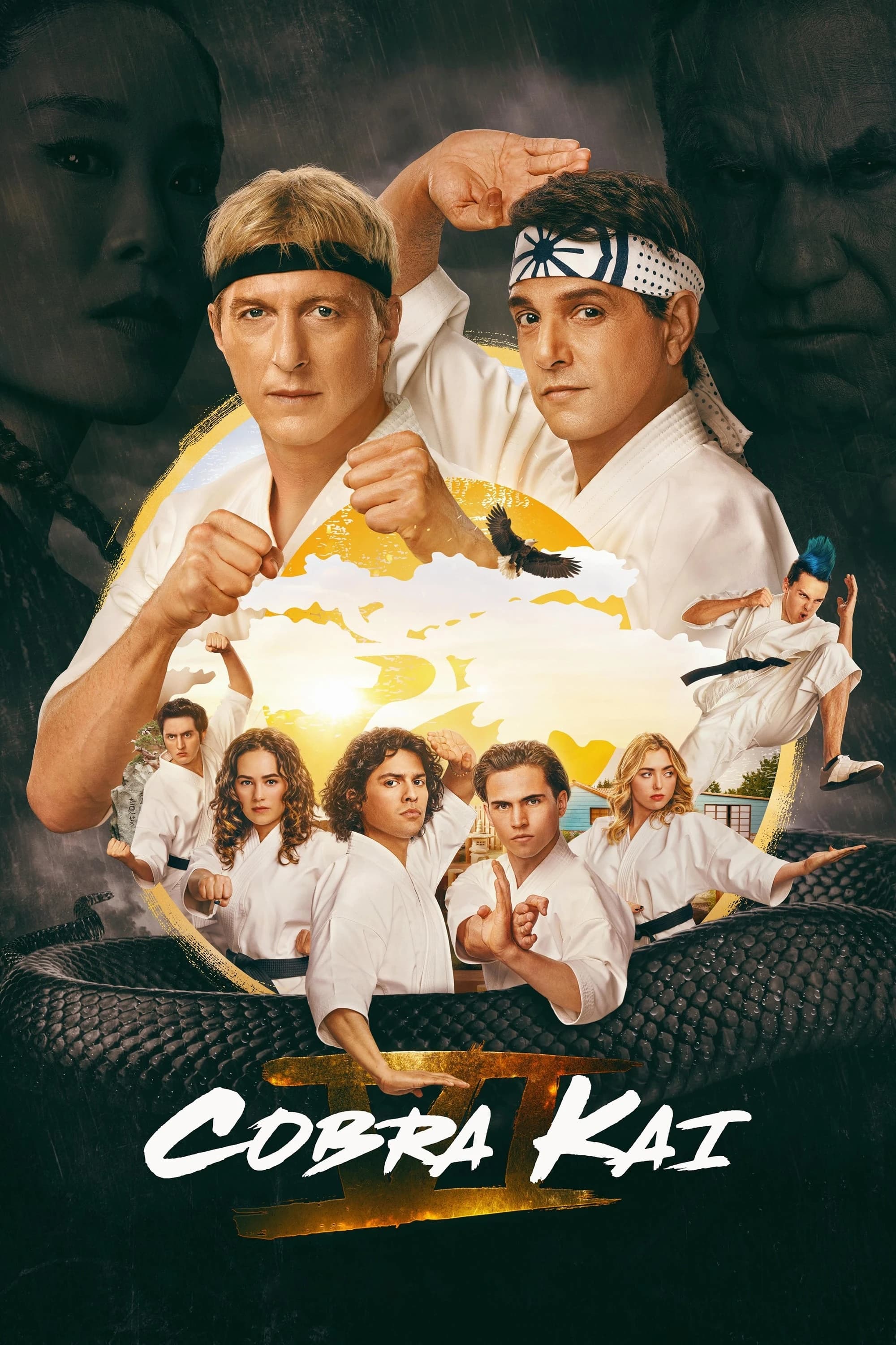 Xem Phim Võ Đường Cobra Kai Vietsub HD Online - Rophim