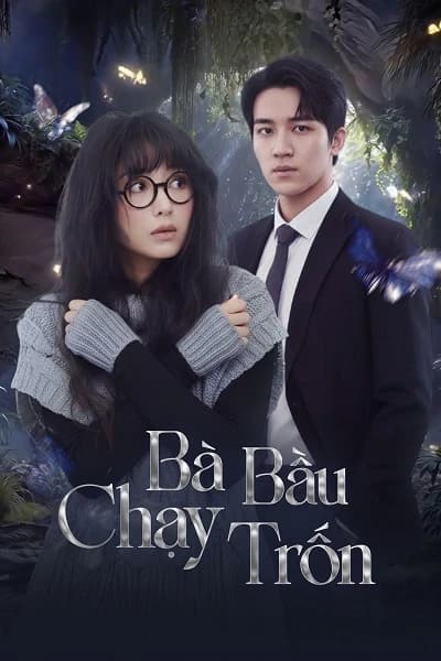 Xem Phim Bà Bầu Chạy Trốn Vietsub HD Online - Rophim