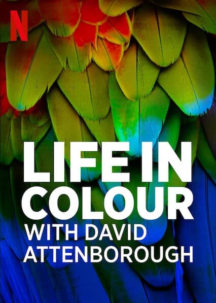Xem Phim David Attenborough: Sự Sống Đầy Màu Sắc Vietsub HD Online - Rophim