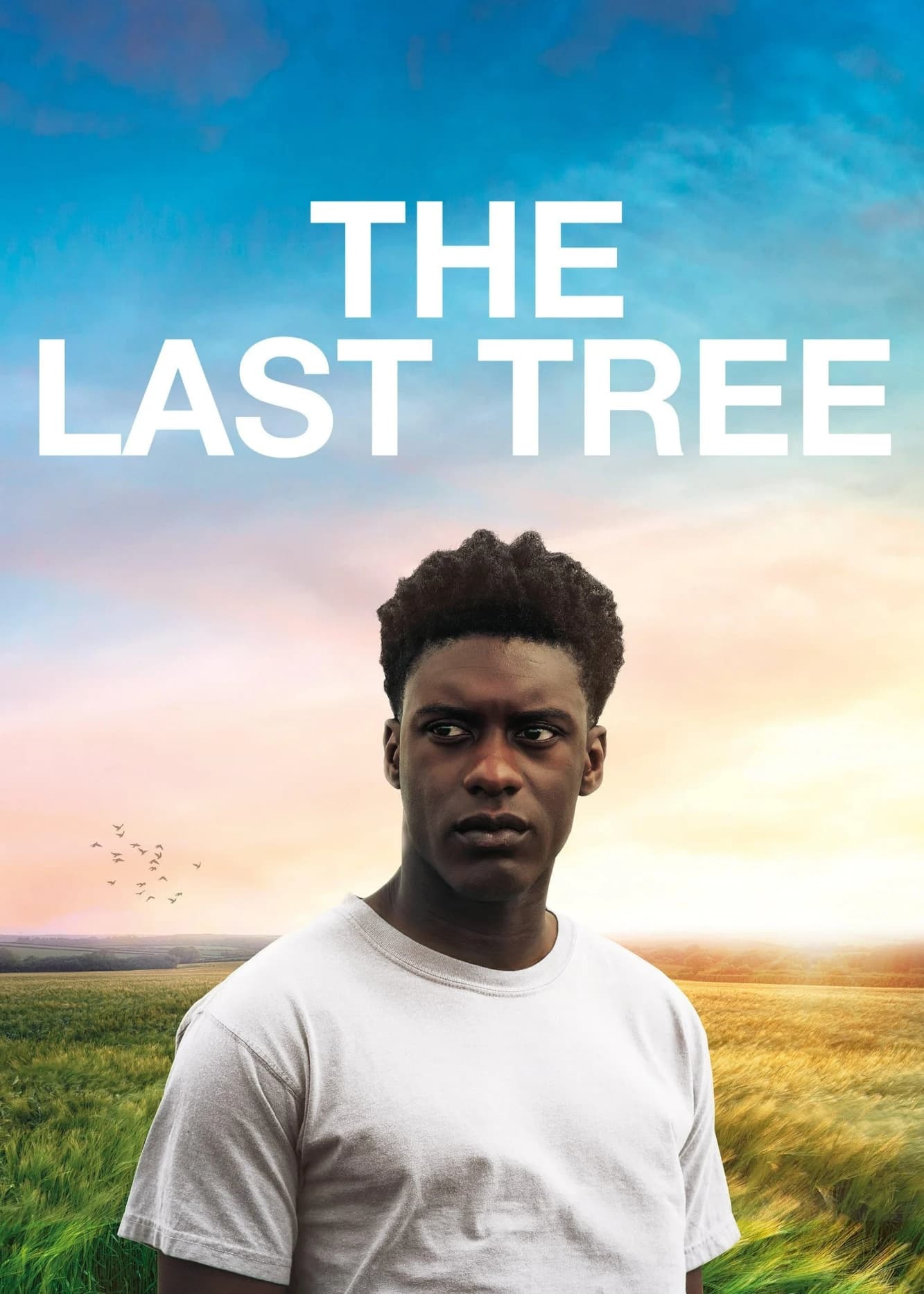 Xem Phim The Last Tree Vietsub HD Online - Rophim