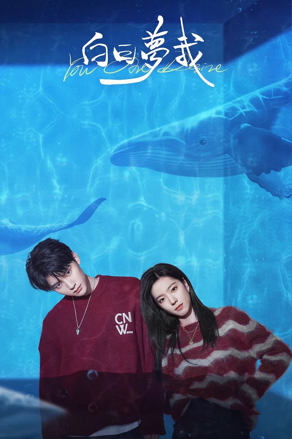 Xem Phim Tôi Mộng Giữa Ban Ngày Vietsub HD Online - Rophim
