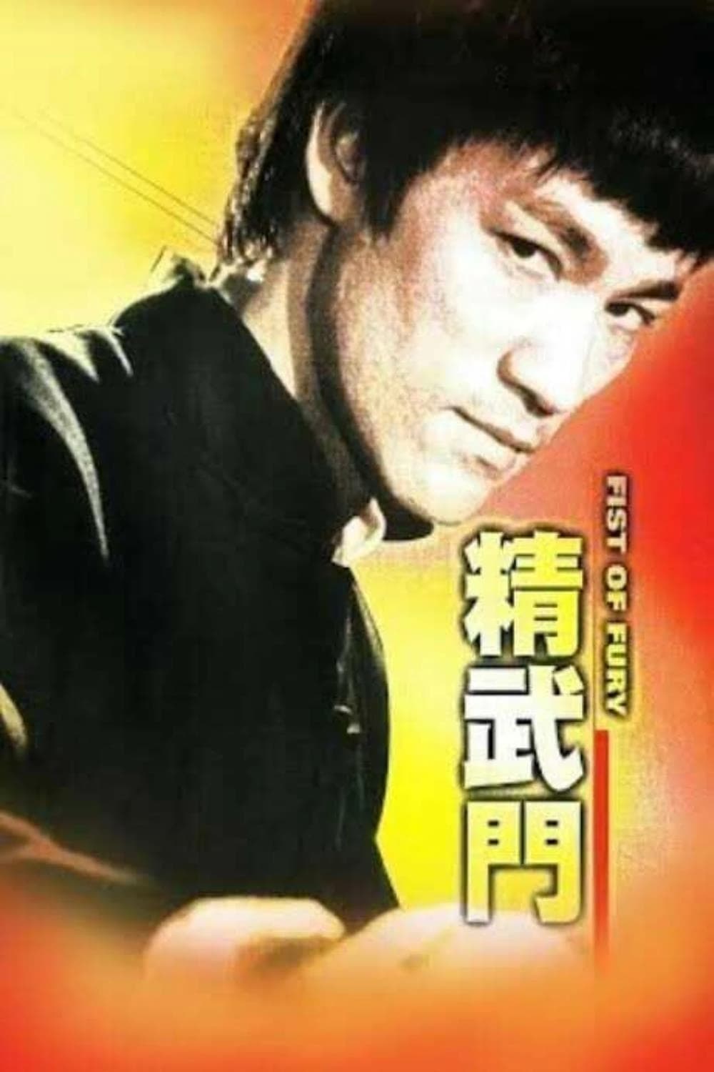 Xem Phim Tinh Võ Môn Vietsub HD Online - Rophim