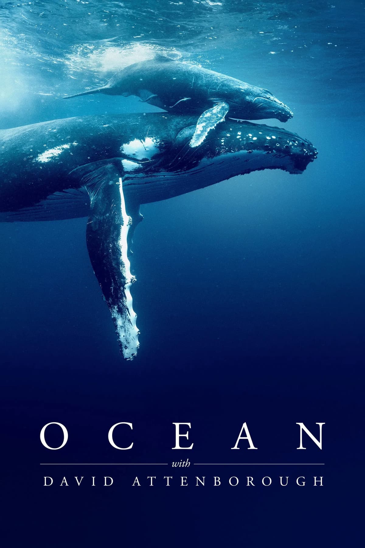 Ocean with David Attenborough