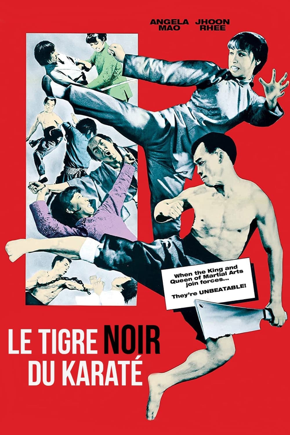 Xem Phim Taekwondo Chấn Cửu Châu Vietsub HD Online - Rophim
