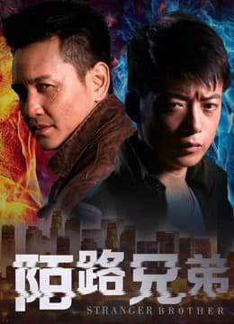 Xem Phim Người Anh Em Xa Lạ Vietsub HD Online - Rophim