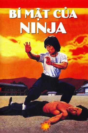 Xem Phim Bí Mật Của Ninja Vietsub HD Online - Rophim