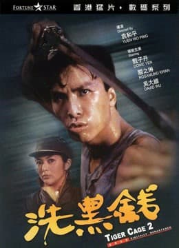 Xem Phim Lồng Hổ 2 Vietsub HD Online - Rophim